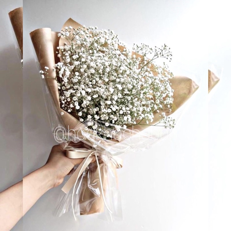 Hoa Baby Ướp Khô (Gypsophila) *Có rất nhiều màu mới về* cập nhật mỗi ngày!!! 💜FREESHIP🤍 Hoa khô trang trí