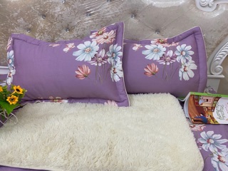 Vỏ gối cotton Hàn Quốc
