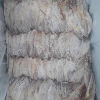 10 con mực khô nhỏ