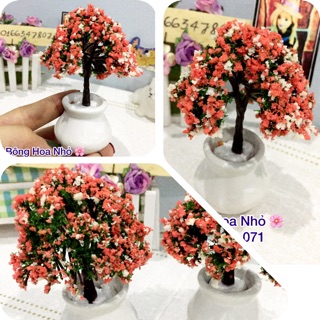 Hoa mini - chậu cảnh mini cho búp bê