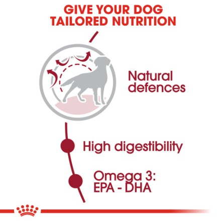 [THANH LÝ - DATE 23/08/2022 ] Hạt Royal Canin Medium Adult Cho Chó Trưởng Thành Size Vừa 11-25KG | Bao 1kg