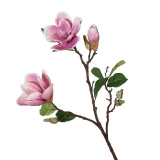 Hoa lụa mộc lan