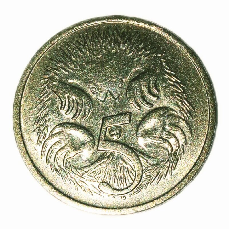 Áo Thun In Hình Nhân Vật Koin Kuno Úc No808