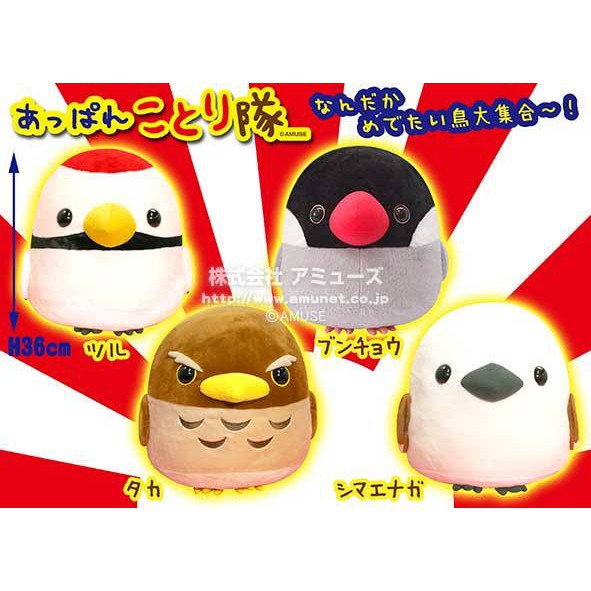 Kotori Tai Appare Chim Gấu Bông Nhật Amuse Authentic