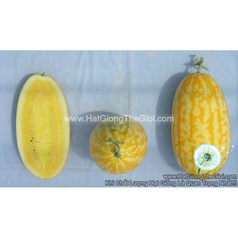 25.HAT Hạt Giống Dưa Hấu F1 Thỏi Vàng TG9999