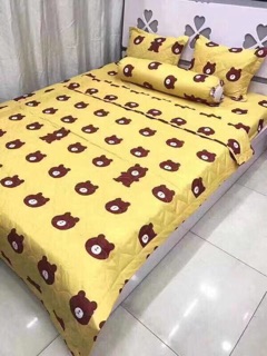 Combo set 5 món Chăn Hè chất Polycotton