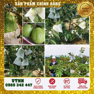 COMBO 1000 TÚI BỌC TRÁI CÂY BƠ, ỔI, XOÀI CÓ DÂY RÚT 18x20CM VẢI KHÔNG DỆT
