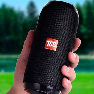 LOA BLUETOOTH T&G TG117