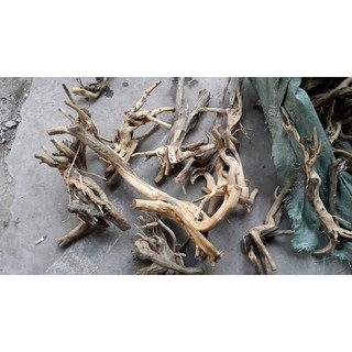 Lũa Nhỏ Trang Trí Bể Cá - Bể Thủy Sinh - Lũa Cành