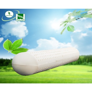 Gối Ôm Cao Su Đồng Phú