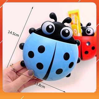 Bọ cắm bàn chải