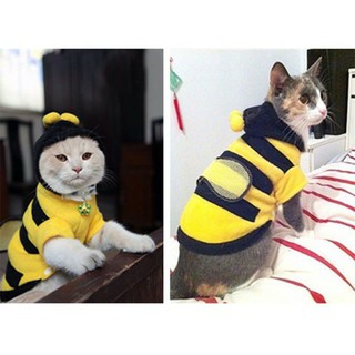 ÁO NỈ CON ONG VÀNG CHĂM CHỈ ĐÁNG YÊU CHO THÚ CƯNG