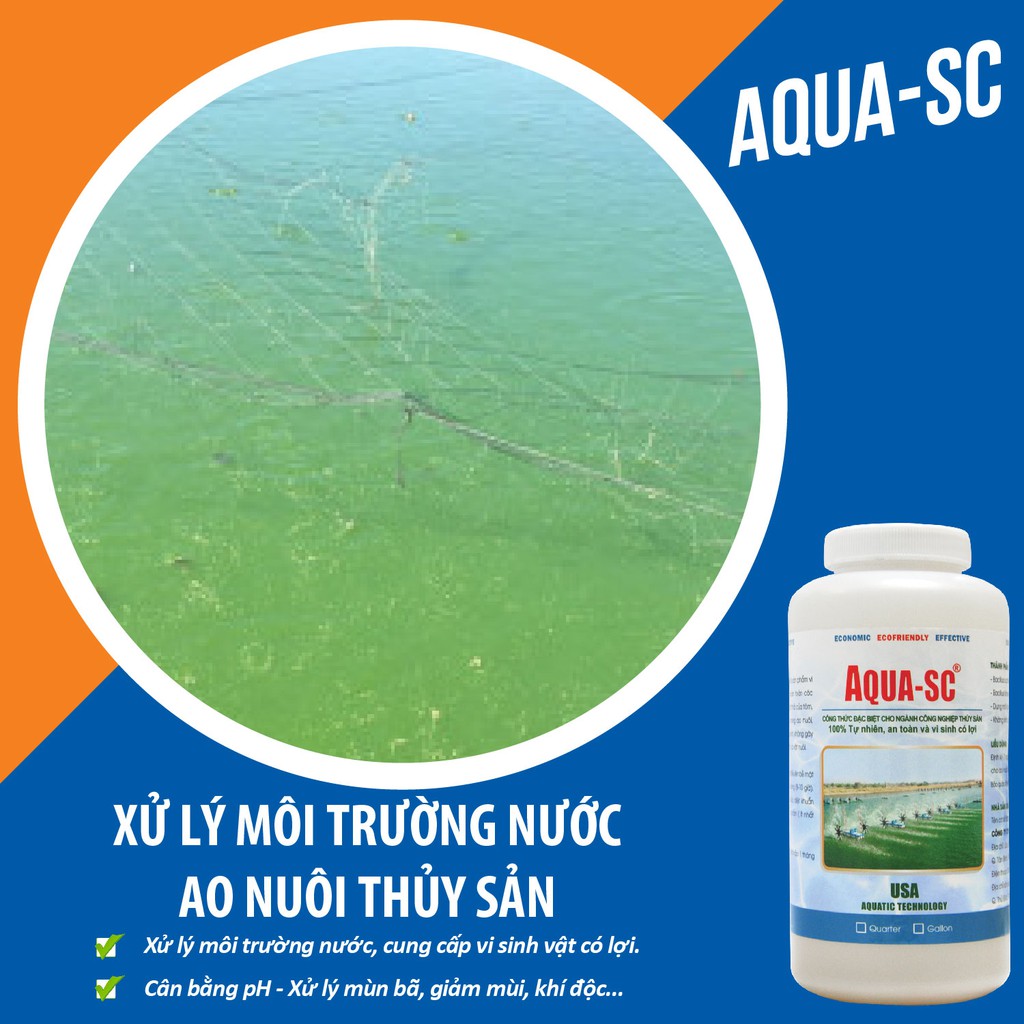 Hàng Mỹ - Vi Sinh Xử Lý Ao Nuôi Tôm, Ổn Định Màu Nước, Làm Sạch Đáy Ao, Cân Bằng pH - Aqua SC - Chai 1 Lít