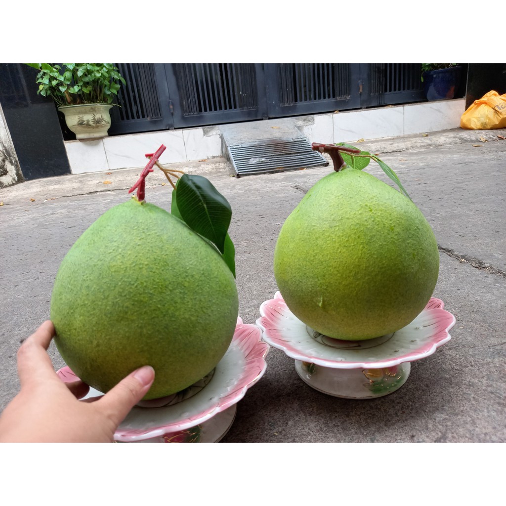 1 Quả bưởi giả giống như thật - trái cây giả - Hương Flower