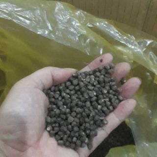 1kg Hạt chuối hột rừng