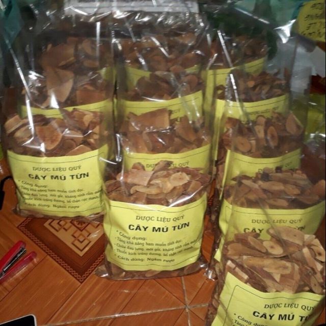 Cây Mú Từn 1kg
