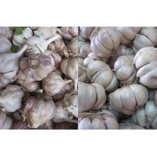 100g tỏi khô hàng việt nam