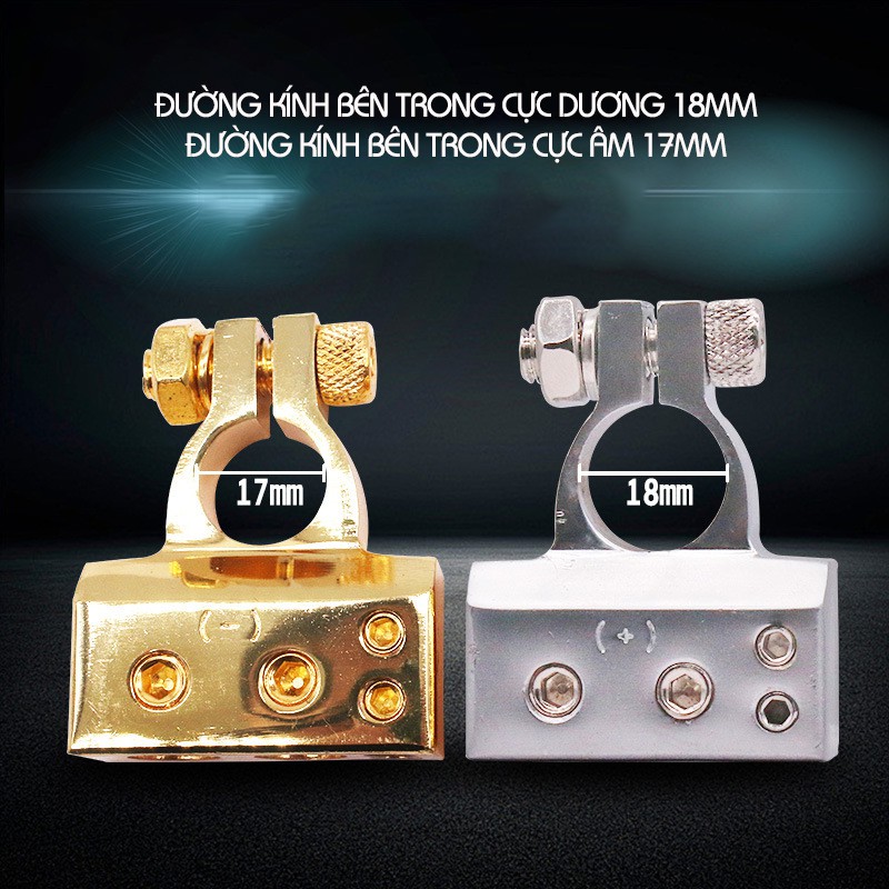 Bộ 2 Cọc Bình Ắc Quy