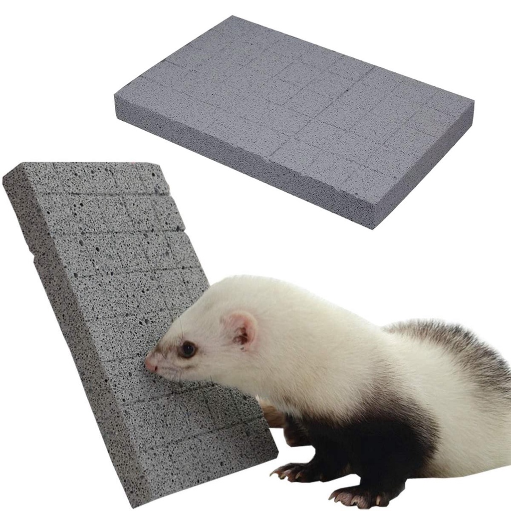 Đồ Chơi Bảng Cào Móng Tự Nhiên Cho Chuột Hamster Thỏ AUGUSTINA