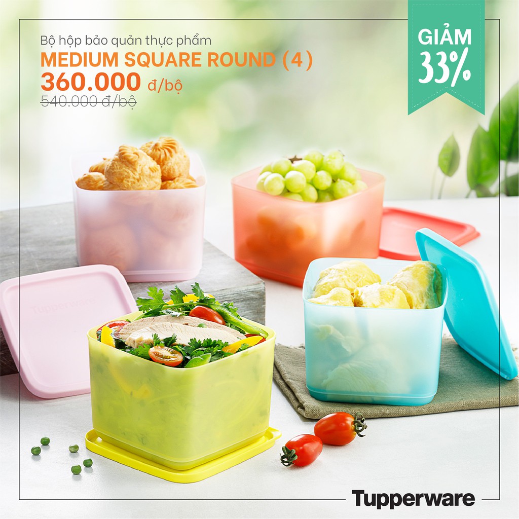 Tupperware - Bộ hộp bảo quản thực phẩm Medium Summer Fresh dung tích 1L