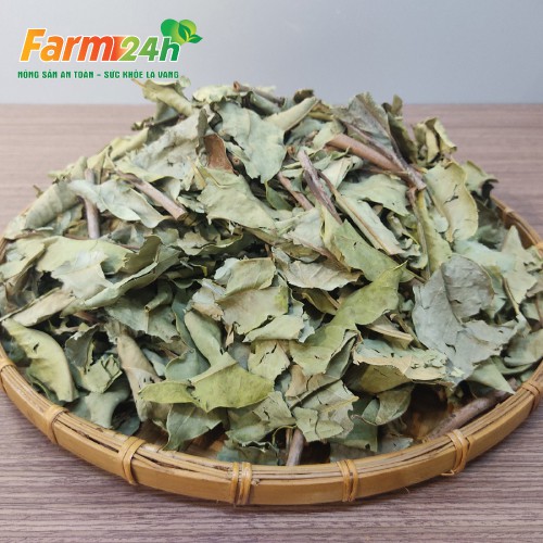 Lá vối nếp sấy khô lợi tiểu, thanh nhiệt giải khát, an thần ngủ ngon, ăn ngon miệng, ngăn ngừa gout | Farm24h