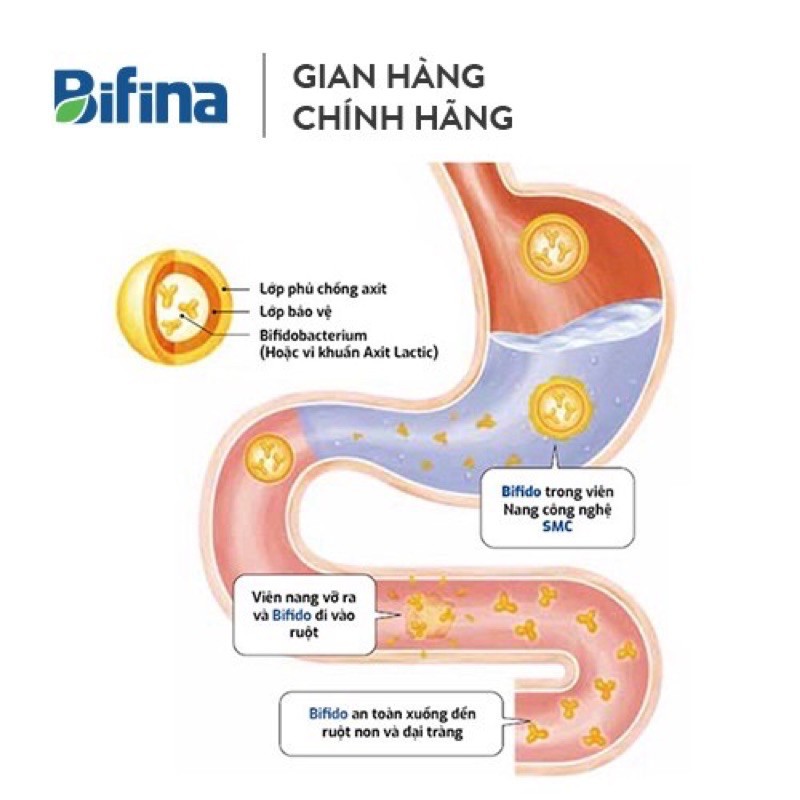 Men Vi Sinh Bifina Nhật Bản R60 gói - Dành cho người viêm đại tràng, hội chứng ruột kích thích