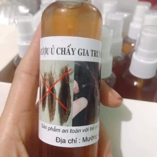 Trị chấy và trứng chấy