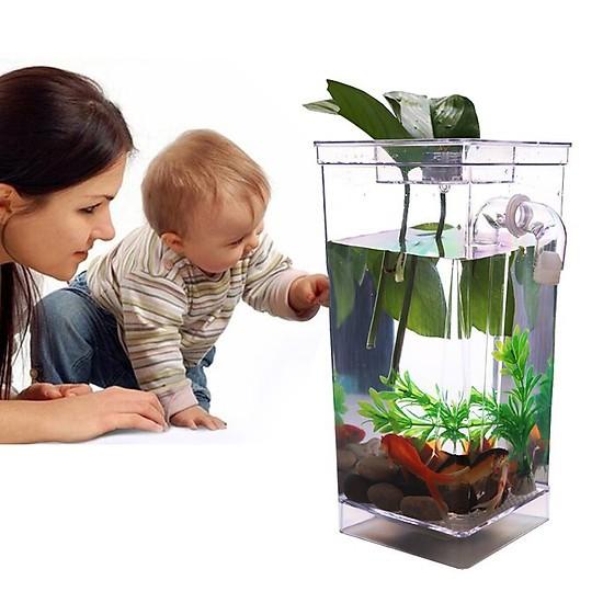 Bể cá thông minh mini My Fun Fish tự làm sạch nước bẩn