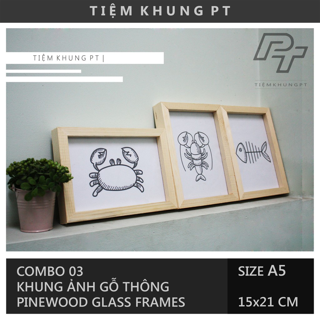 Bộ 03 Khung ảnh A5 15x21 - Khung hình gỗ thông mặt kính - Khung ảnh đẹp để bàn treo tường Picture Fr