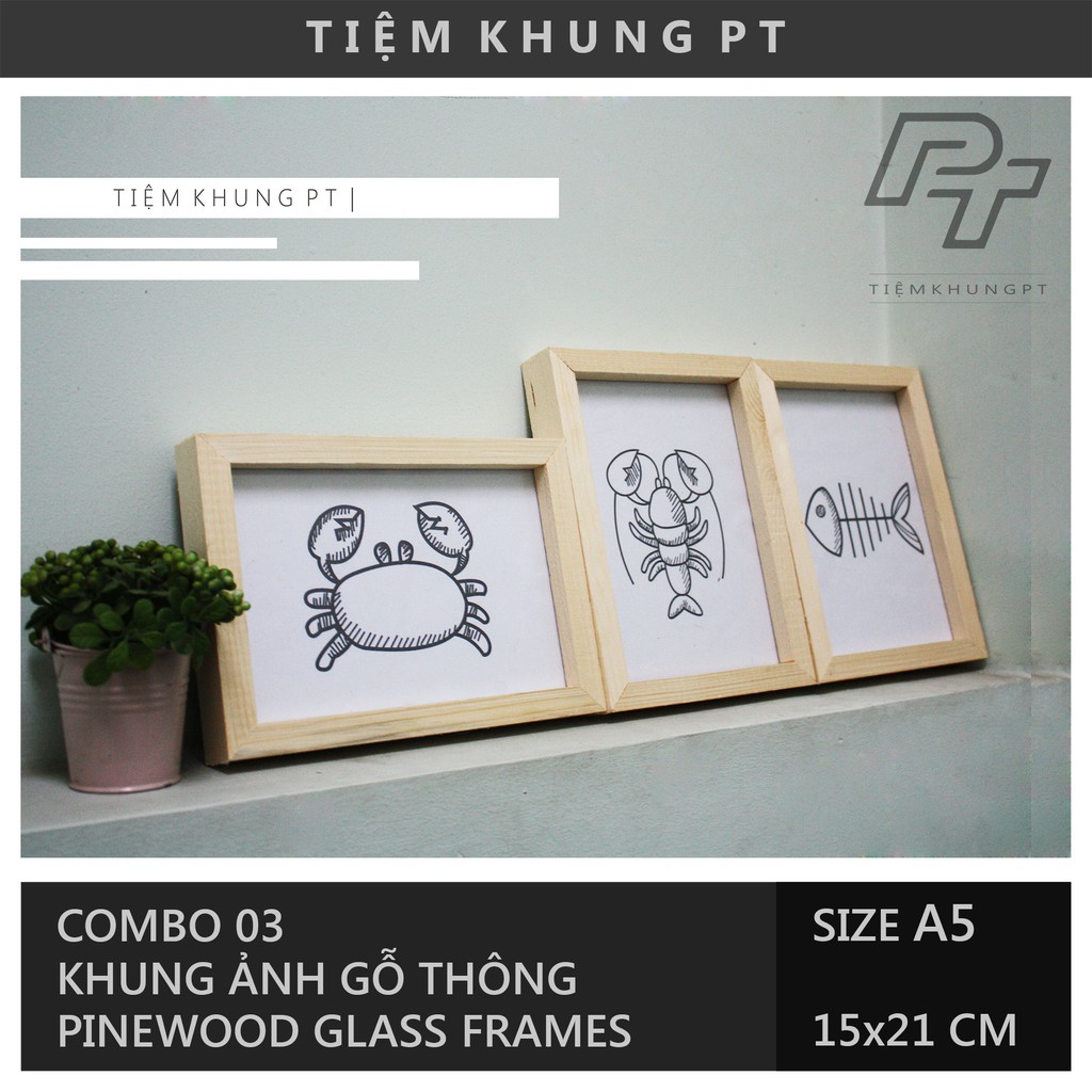 Bộ 03 Khung ảnh A5 15x21 - Khung hình gỗ thông mặt kính - Khung ảnh đẹp để bàn treo tường Picture Frames Tiệm Khung PT