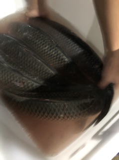 Thính Trắm Đen Hồ Dịch Vụ