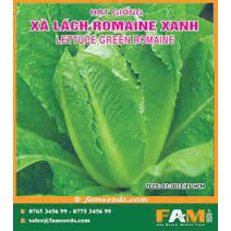 Hạt giống xà lách romaine F1 sinh trưởng tốt cho năng suất cao