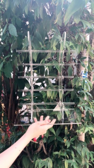 KỆ TRƯNG BÀY MẮT KÍNH
