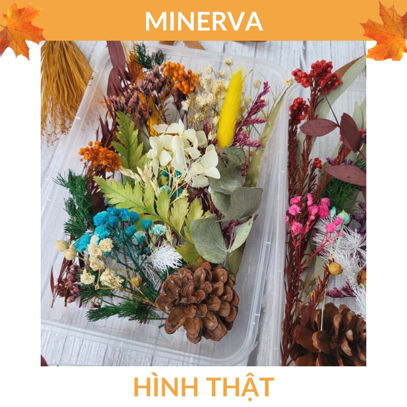Hộp HOA KHÔ trang trí đa dạng mẫu mã , màu sắc làm đồ thủ công handmade , trang trí nến thơm, đổ resin