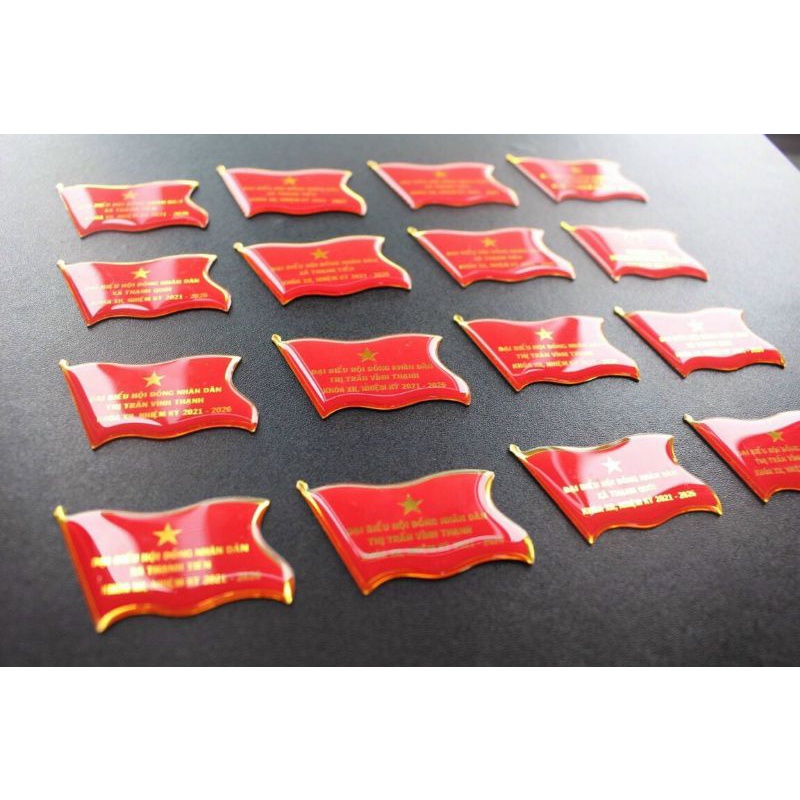 Huy hiệu đại biểu đảng , huy hiệu quốc hội - in bạch dương