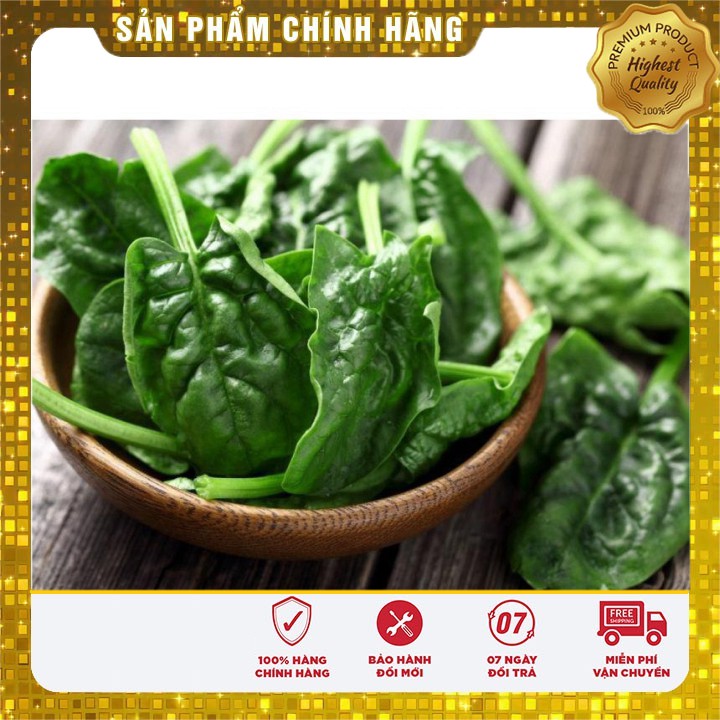 Hạt Giống Rau Chân vịt ( bina) gói 20 gram