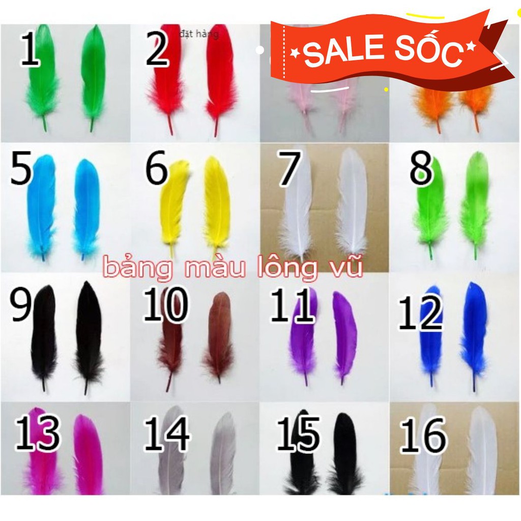 Sỉ Lông Vũ 1 bịch = khoảng 100c - 200 cái / 10gram - Có trên 15 màu