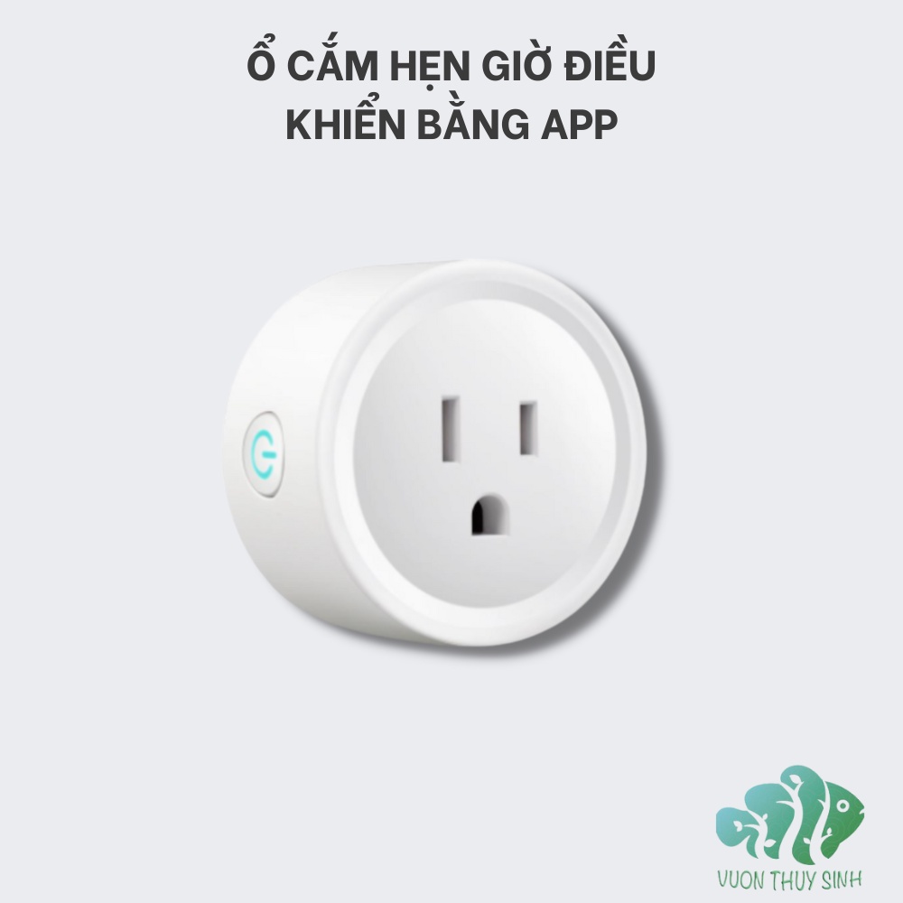 Ổ cắm hẹn giờ điều khiển bằng APP full Tiếng Việt