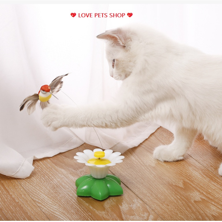 ĐỒ CHƠI CHO MÈO, CẦN CÂU MÈO XOAY VÒNG TỰ ĐỘNG (KÈM PIN) - LOVE PETS SHOP