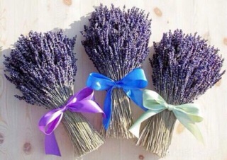 Hoa khô Lavender Pháp - 01
