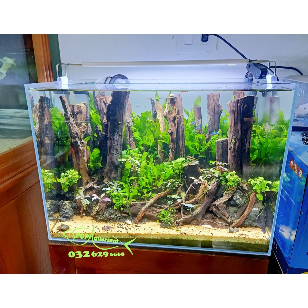 Đèn thuỷ sinh WRGB 6 hàng led