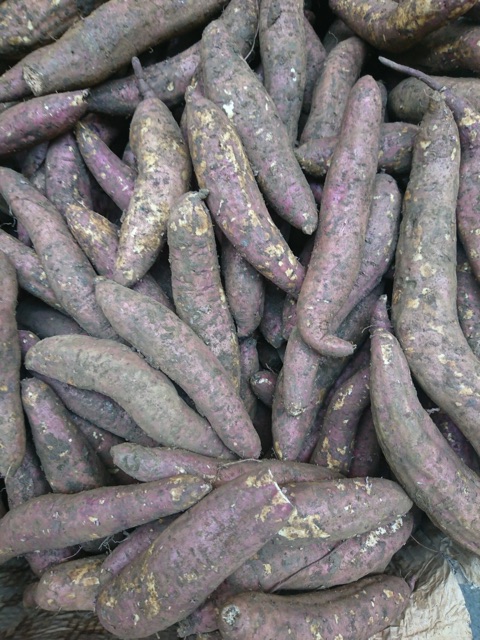 Khoai lang mật Đà Lạt sỉ và lẻ các tỉnh nha mn, bao ngon và chất lượng | BigBuy360 - bigbuy360.vn