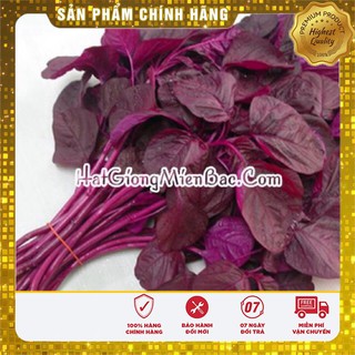 Hạt Giống Rau Dền Đỏ(20gr)
