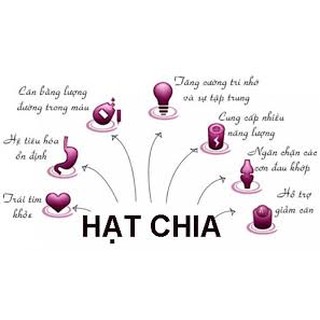 Hạt chia Mỹ Nutiva