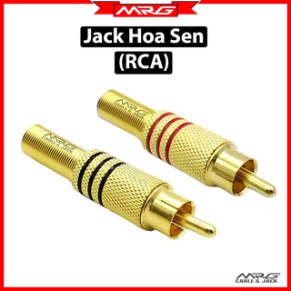 Jack rca av hoa sen mạ vàng.