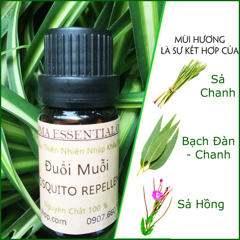 Tinh dầu Đuổi Muỗi Mosquito Repellent xua đuổi côn trùng giúp ngủ ngon