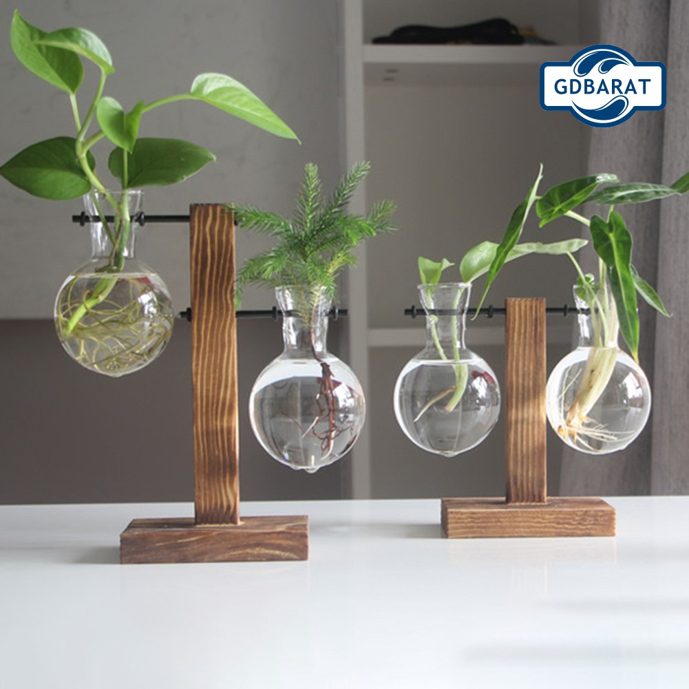 Chậu Hoa Bằng Thủy Tinh Trong Suốt Kèm Khung Gỗ Độc Đáo Tiện Dụng