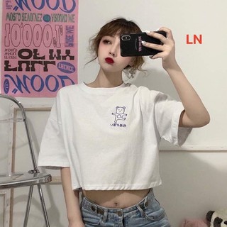 Áo croptop con gấu LN11