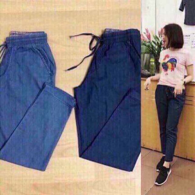 Jogger bò giấy