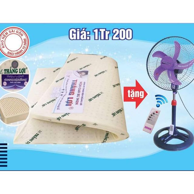 Nệm Cao Su THẮNG LỢI CHÍNH HÃNG(1m6-2m-10cm giá 1tr200k)